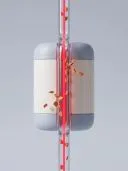 3D white containers split by a glass tube with a red beam and cookie crumbs.