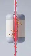 3D white containers split by a glass tube with a red beam and cookie crumbs.